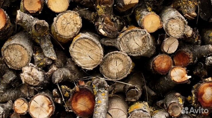 Дрова для бани