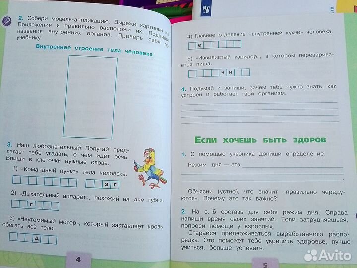 Рабочая тетрадь