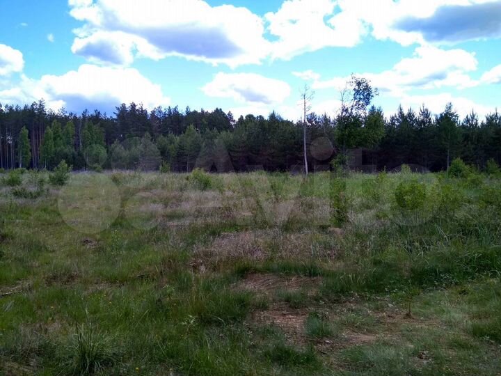 Участок 45 сот. (СНТ, ДНП)