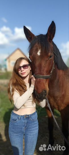 Конные прогулки