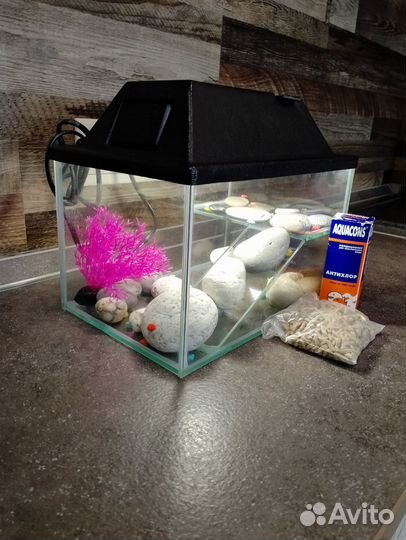 Аквариум для черепах бу