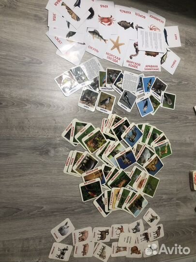 Карточки Домана