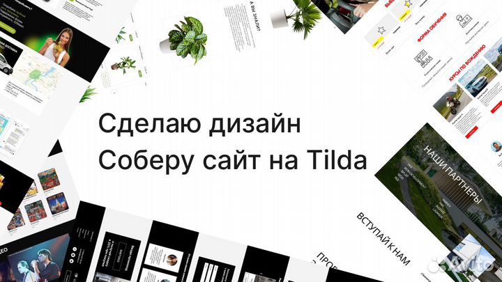 Создание сайтов на Tilda, веб-дизайнер