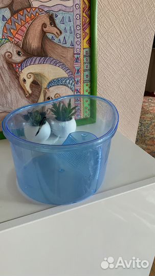 Продается аквариум для черепахи