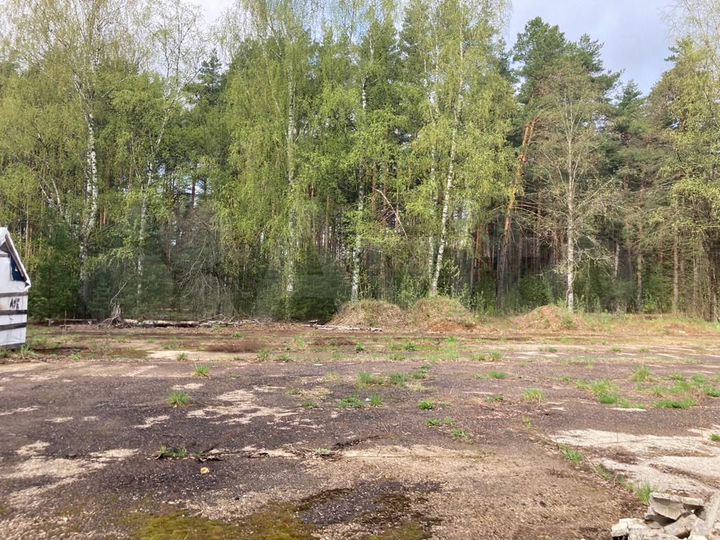 Здание, 3767 м²