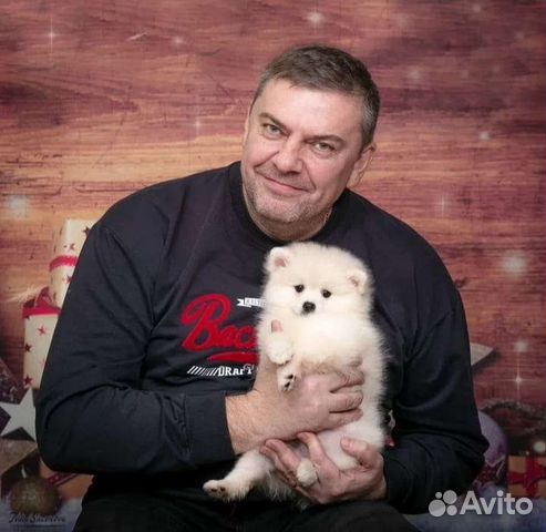 Передержка собак мелких пород