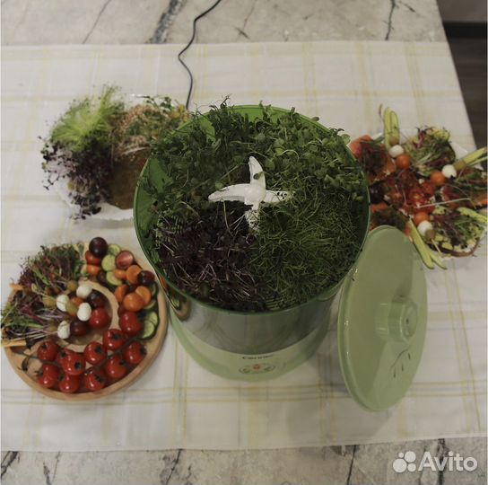 Проращиватель семян, проростков, микрозелени