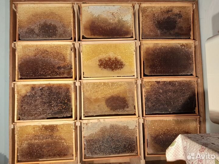 Сушь на 300 и 145