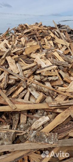 Дрова береза