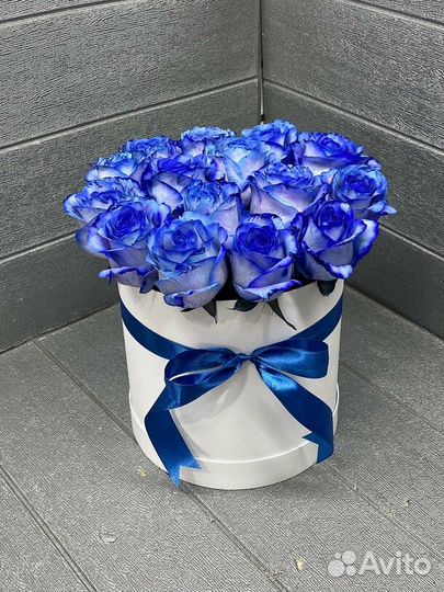 Синие розы Эквадор