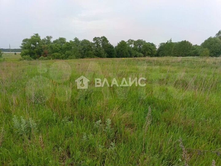 Участок 14,8 сот. (ИЖС)