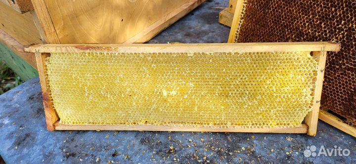 Сушь рамки для пчел