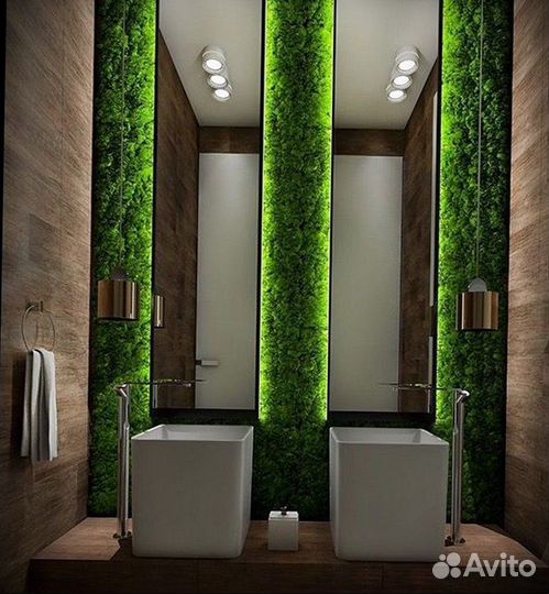 Панно из мха и растений / озеленение