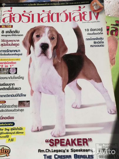 Журналы. Собаки. Таиланд.выставки.заводчики