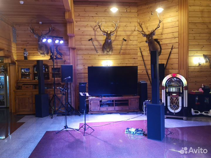 Syva комплек звукового оборудования