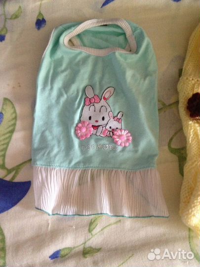 Одежда для животного