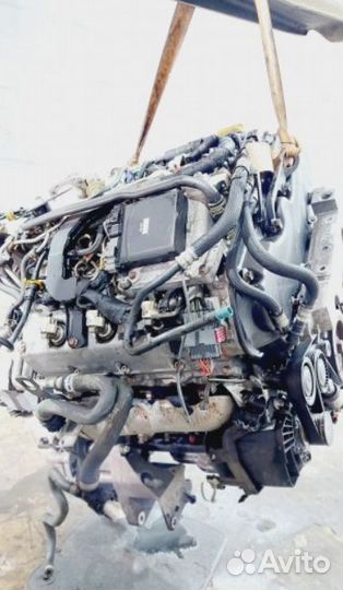 Двигатель Opel Signum 2005 Y30DT 3.0