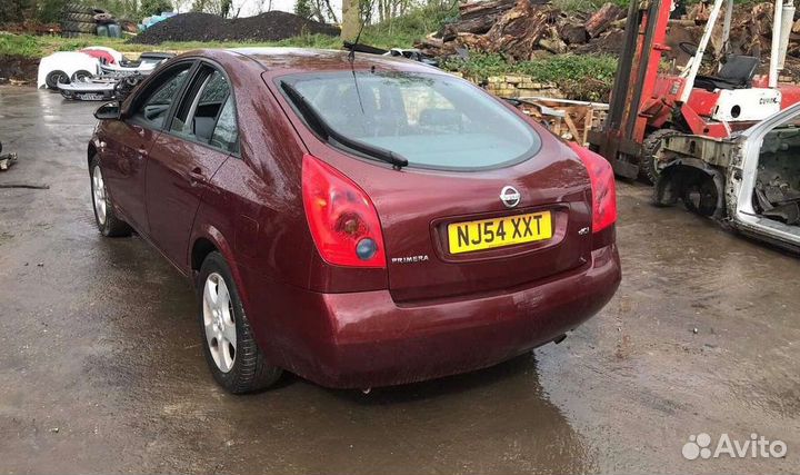 Nissan Primera P12 2005 г на запчасти