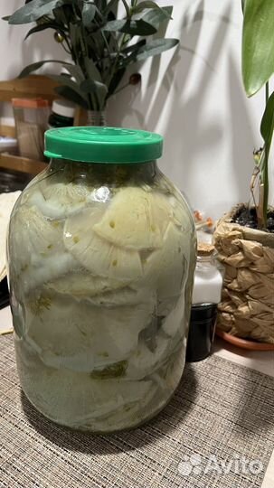 Грибы грузди соленые