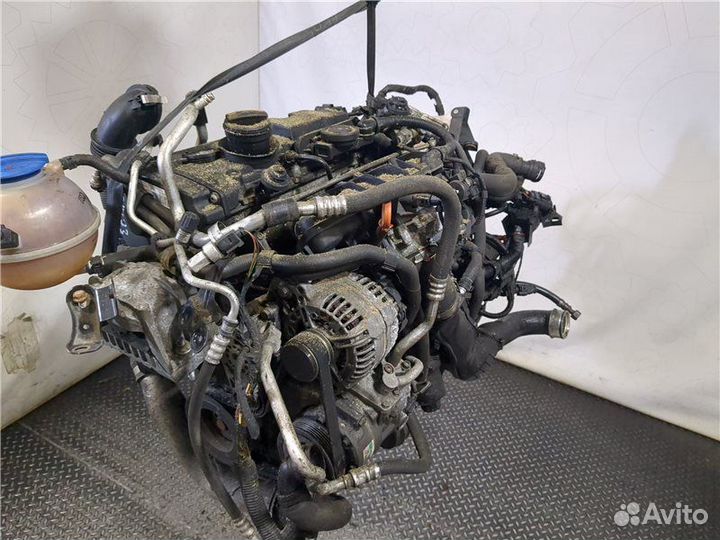 Двигатель Блок двигателя Volkswagen Passat B6