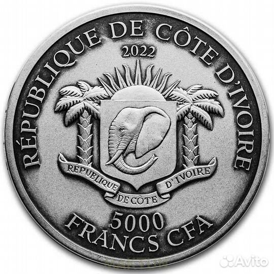 Код-Д' Ивуар 2022г Королевская Кобра