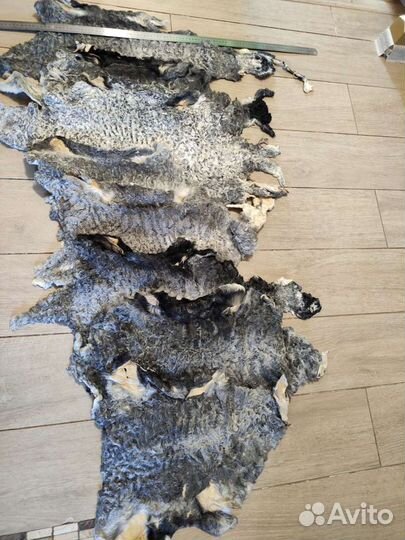 Мех. Мутон. Каракуль. Кролик