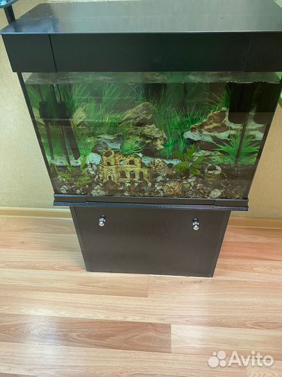 Аквариум