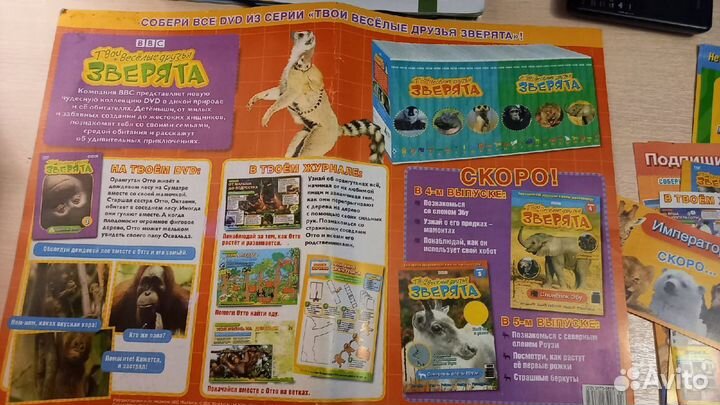 DVD 13шт+журнал Твои веселые друзья зверята