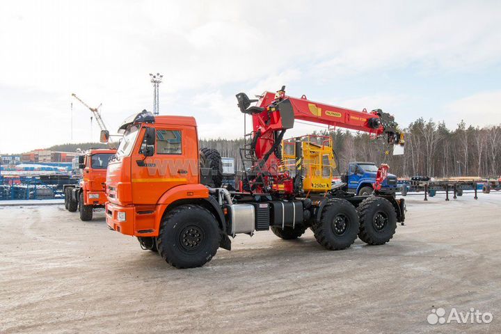 КамАЗ 43118 с КМУ, 2023