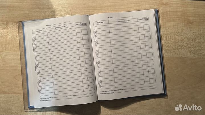 Дневники школьные