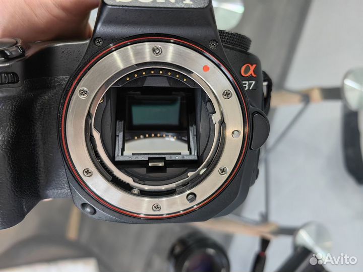 Зеркальный фотоаппарат sony a37 объектив minolta