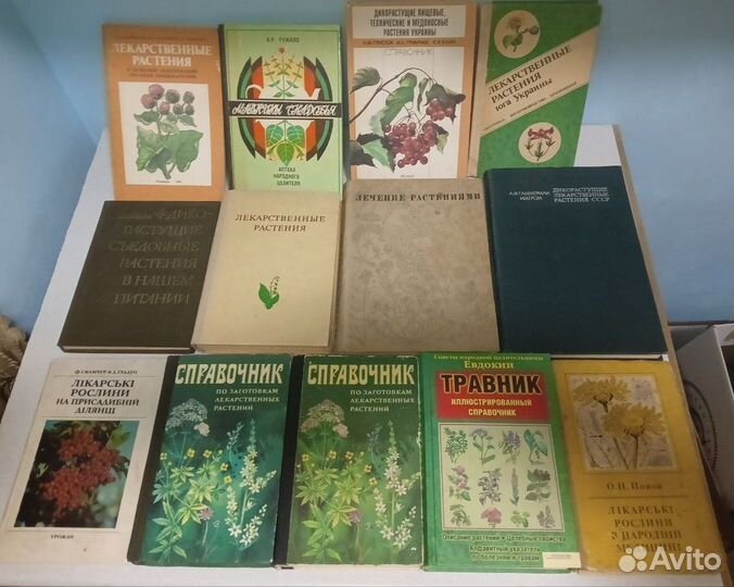 Лекарственные растения Цветоводство Грибы и т.п
