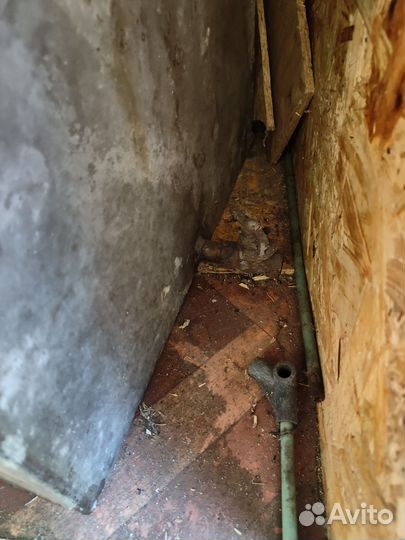 Бак из нержавейки 500л