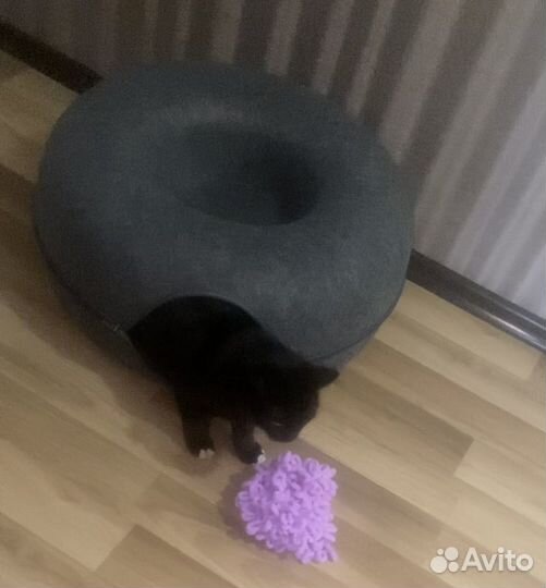 Домик- лежанка для кошек бу