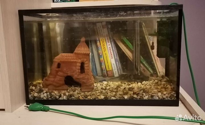 Аквариум (грунт, дом, фильтр, сачок)