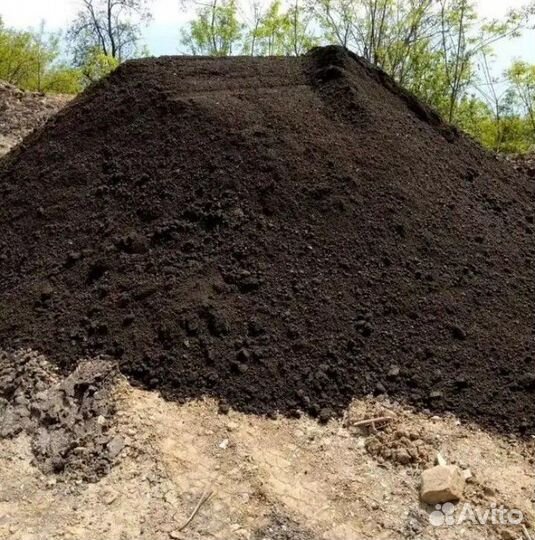 Чернозём плодородный