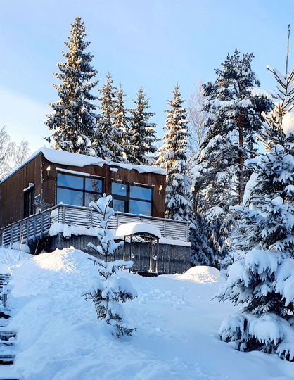 Коттедж 32 м² на участке 20 сот.