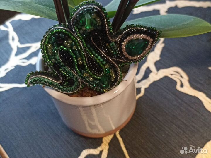 Заказ рыбки