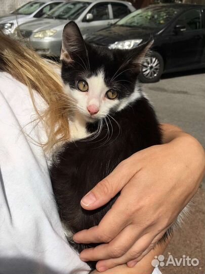 Малыш Лёлик ищет уютный дом или передержку