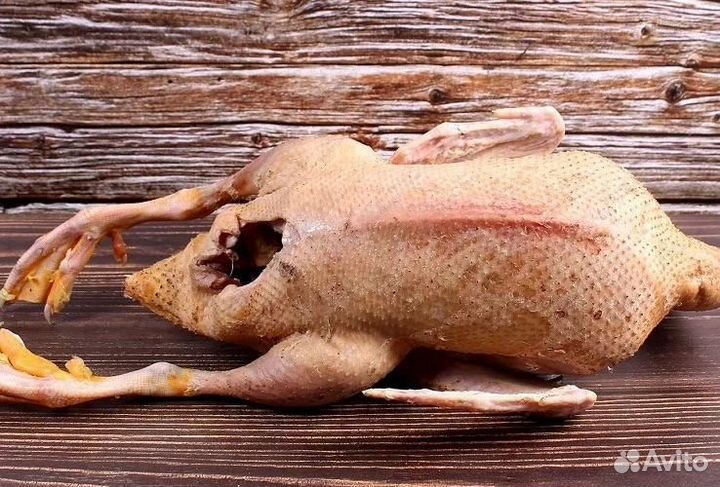 Мясо птицы