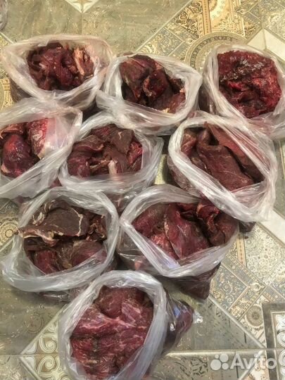 Мясо говядина для собак