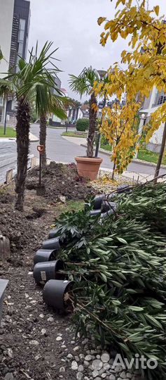 Грузчики на час, разнорабочие