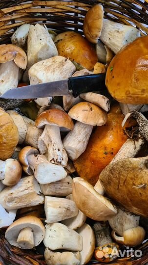 Домашняя тушенка (из своего мяса)