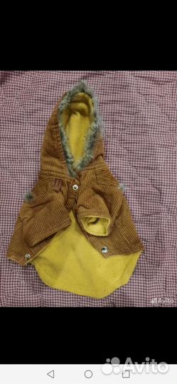 Костюмы для собак