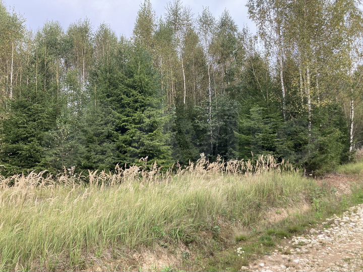 Участок 11 сот. (СНТ, ДНП)