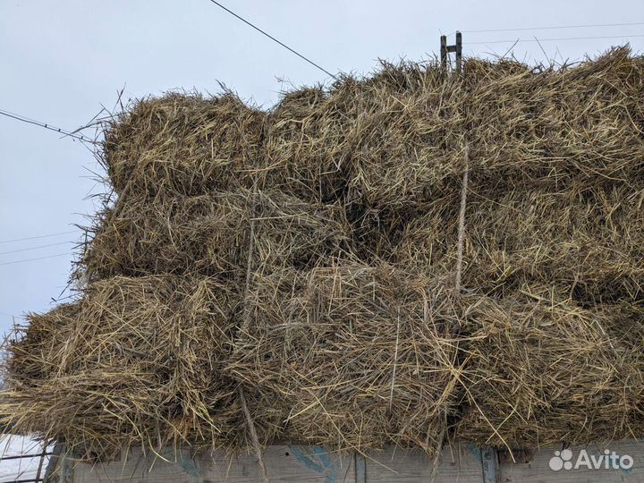 Сено в тюках