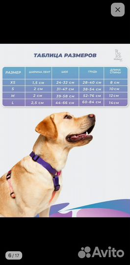 Шлейка для маленькой собаки
