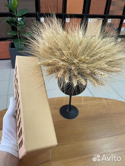 Облицовочный кирпич, белый Воротынск