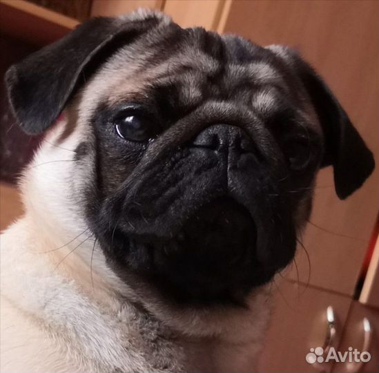 Приглашаю на вязку