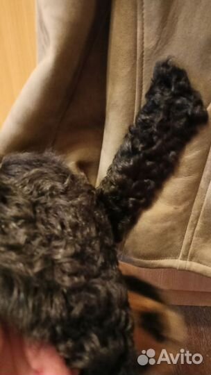 Дубленка натуральная женская